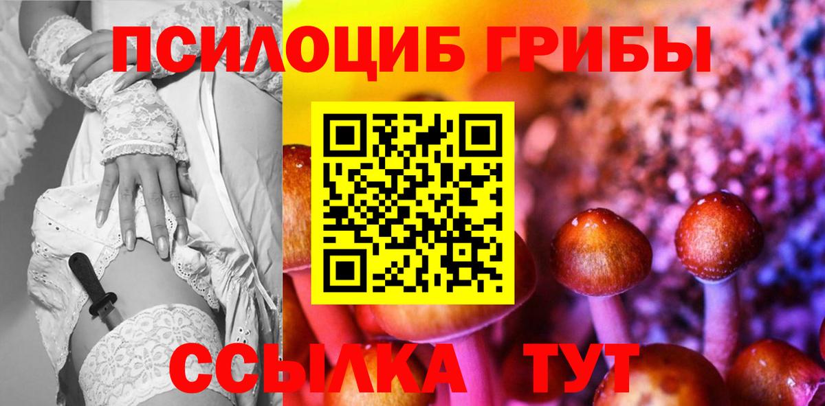 Тайшет  Галлюциногенные грибы Cubensis  Вход с VPN 