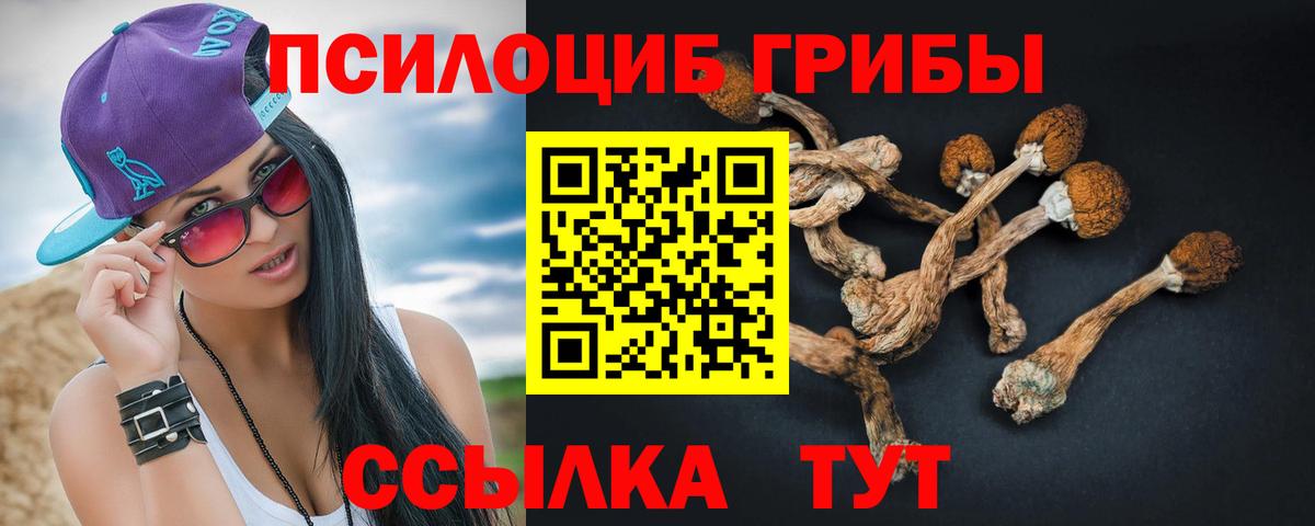 Псилоцибиновые грибы Psilocybine cubensis Тайшет